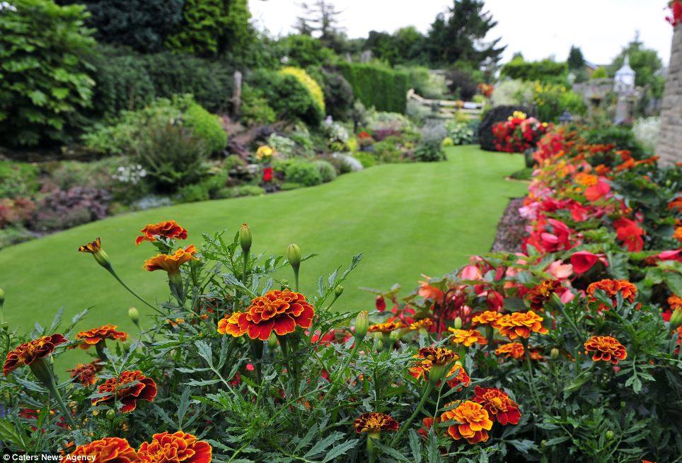 Vợ chồng ông từng giành khá nhiều giải thường làm vườn với khu vườn thiên đường nơi mặt đất của mình
